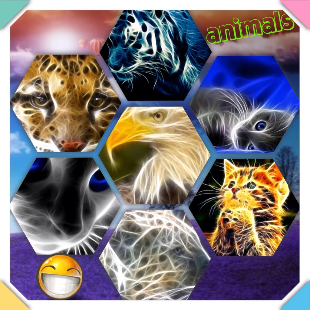 rofocool's tweet image. the best pic for animals 👍🏼