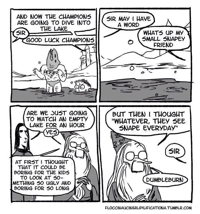 Hogwarts_Logics's tweet photo. Dumbledore doesn't give a fly hippogriff http://t.co/qrzfC9Mibd