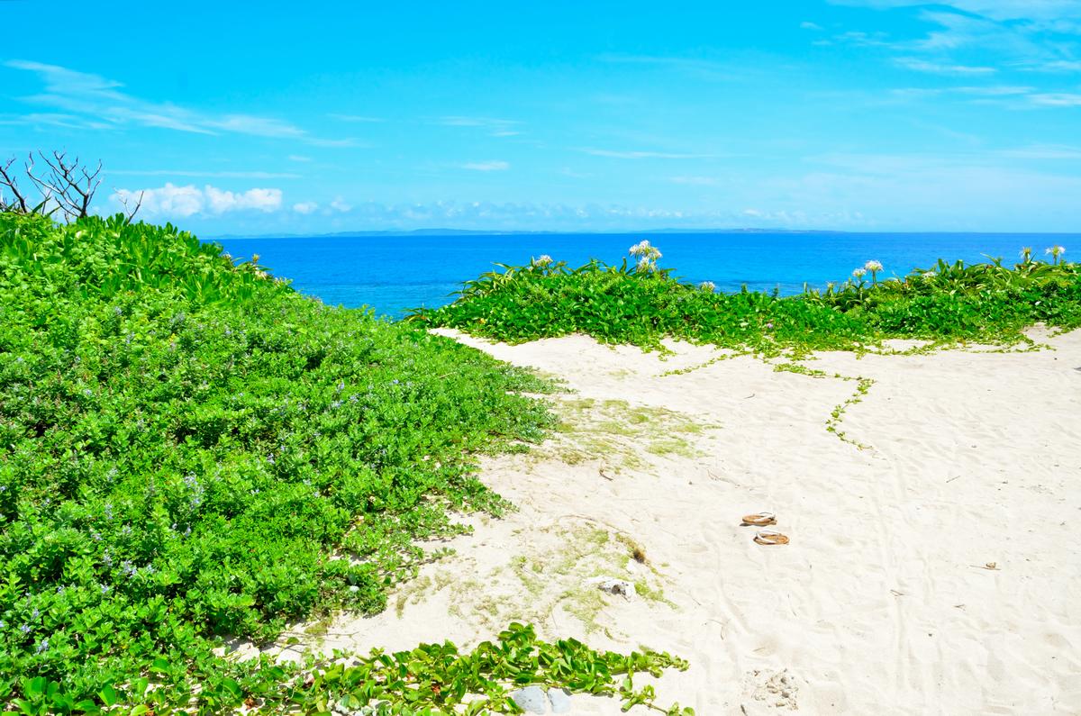 沖縄の風景 (@OKINAWA_keshiki) / Posts / X