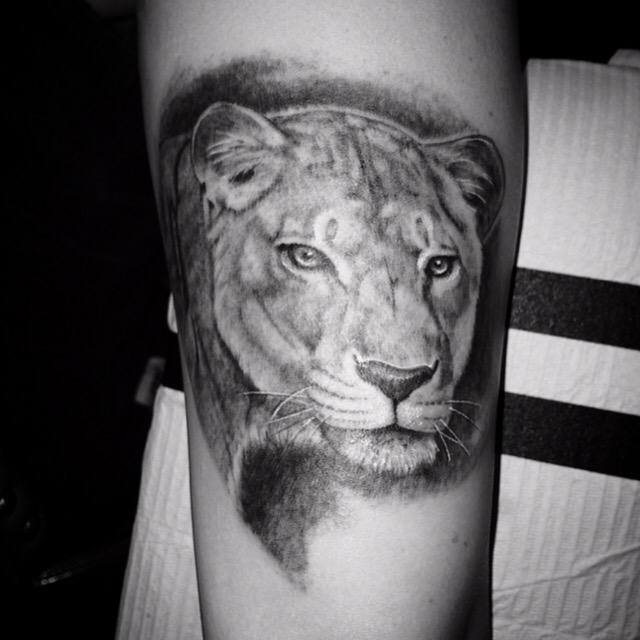 HighVoltageTat's tweet photo. Beautiful lioness done by @sinister_apples. http://t.co/sNR1FdkdT5
