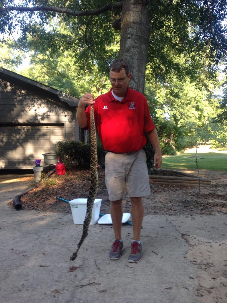 c_lisle10's tweet image. Hate to leave practice but sometimes you just have to... #inmyyard #savethepets #quickreturn