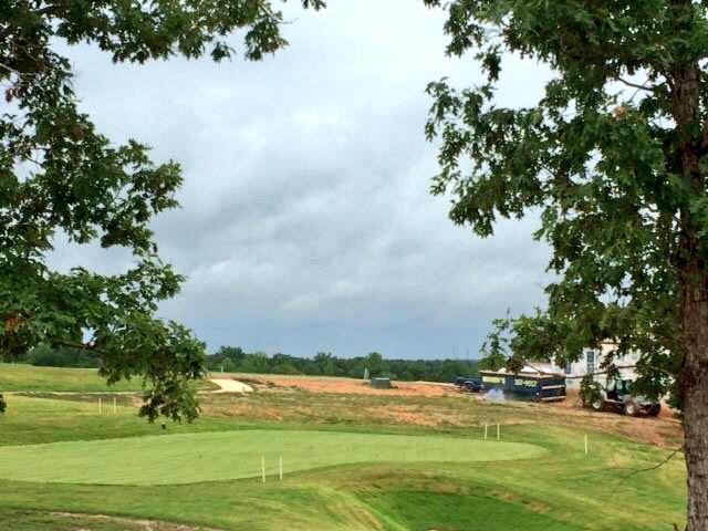 11th Green coming in nicely