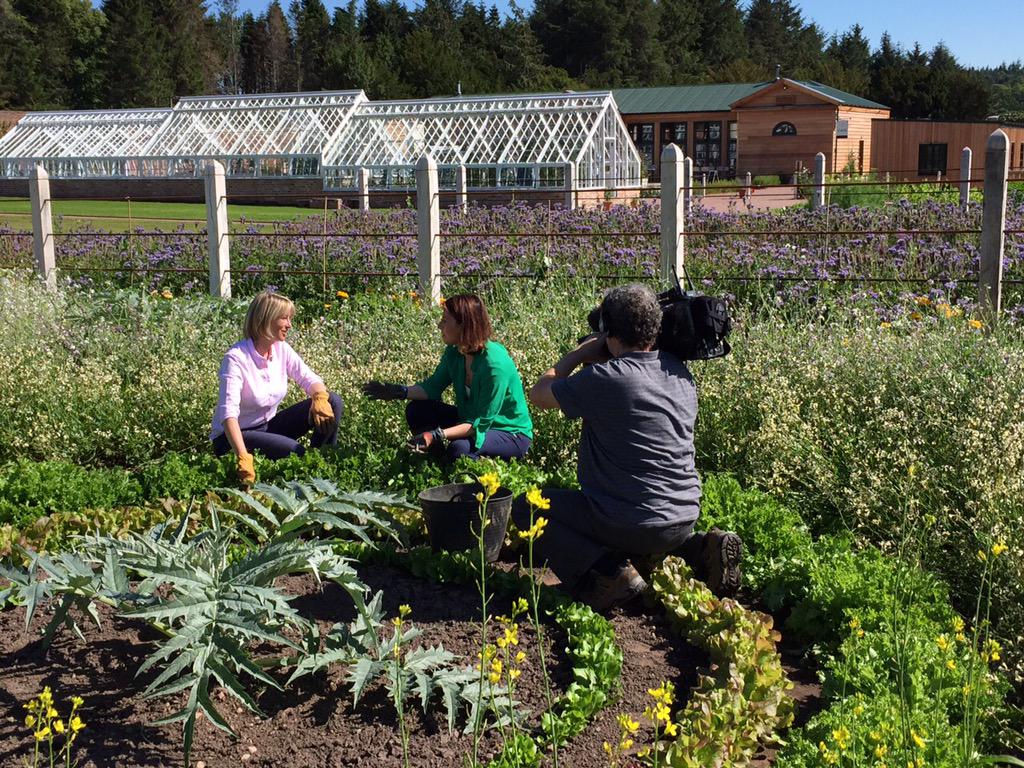 Zazgl's tweet photo. Lovely to meet the Landward team today and showcase our Walled Garden project  #bbclandward @Smack_sjs sunshine too! http://t.co/9Z8DgvfAkm