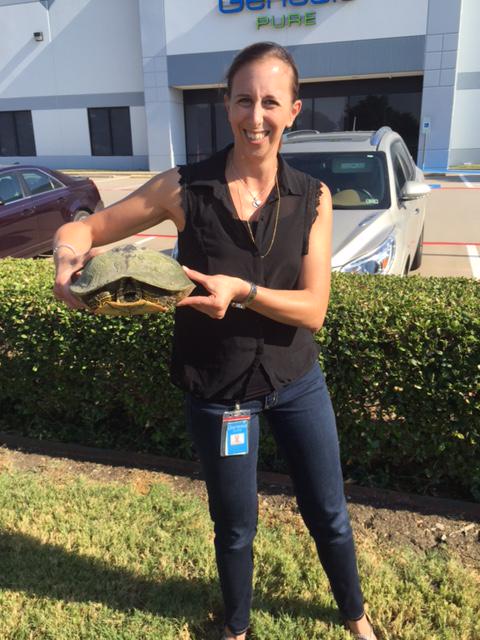livepureglobal's tweet photo. \We found a turtle &amp; named him #ThankfulThursday in your honor - we thank you &amp; appreciate your hard work every day. http://t.co/H7FKM9jWyE