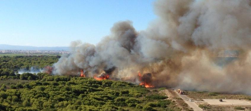 #LoMásLeído [2/2] Declarado un incendio forestal en el Saler levante-emv.com/valencia/2015/…