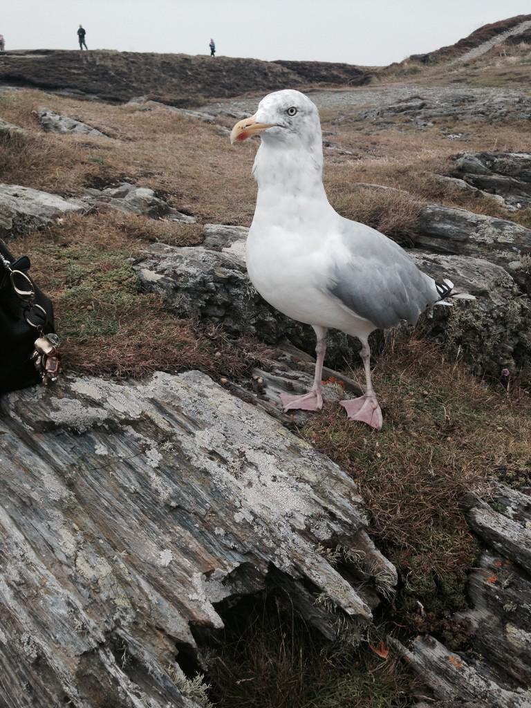 doughty331's tweet photo. @nikkiogrady #fitbird http://t.co/p36UvePqIU