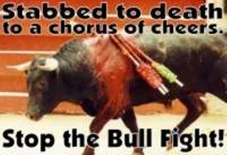 PROTECT ALL WILDLIFE (@protect_wldlife) on Twitter photo Culture and tradition doesn't come into it - barbarism does!!! #BanBullFighting <a href="/rickygervais/">Ricky Gervais</a> Culture and tradition doesn't come into it - barbarism does!!! #BanBullFighting <a href="/rickygervais/">Ricky Gervais</a>