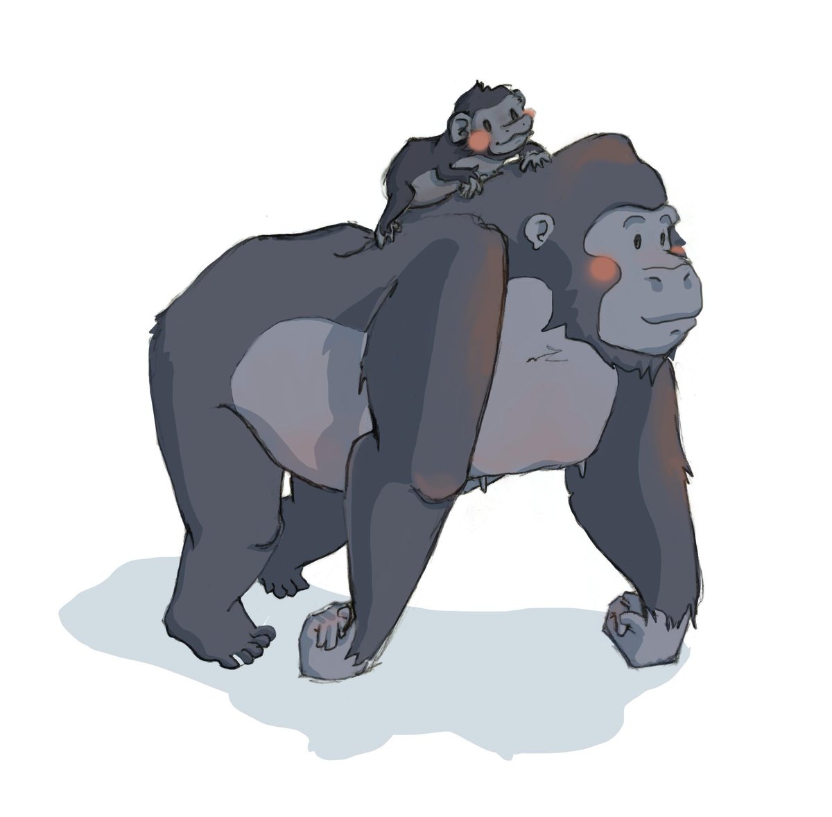 PippythePup's tweet photo. Did you know #Gorillas are shy? #SAVE them @ http://t.co/0vv4YKqBLO  @Extinction_OPS @AWF_Official @AfricanConserve http://t.co/oXKVCWGAUJ