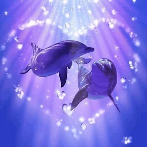 monichiang's tweet photo. @rosiemclkjj @Baires31 @rominaansaldo @2Incorregibles @hernancabanaok 
Hola rosie como estas http://t.co/tRMxsikkR3