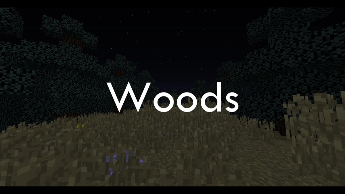 TreeMinecraft's tweet image. Woods a minecraft horror that me and verizonHD720p are working on has lots of jumpscares tralire comes out soon :)