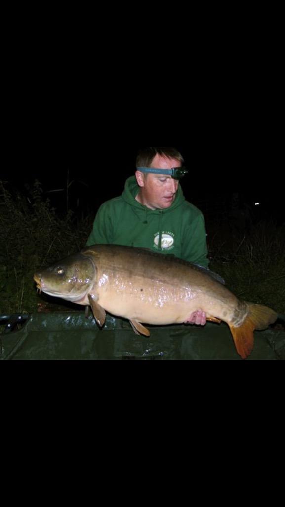 SolarCarp's tweet photo. And some more......... http://t.co/E0XEsh7A5S
