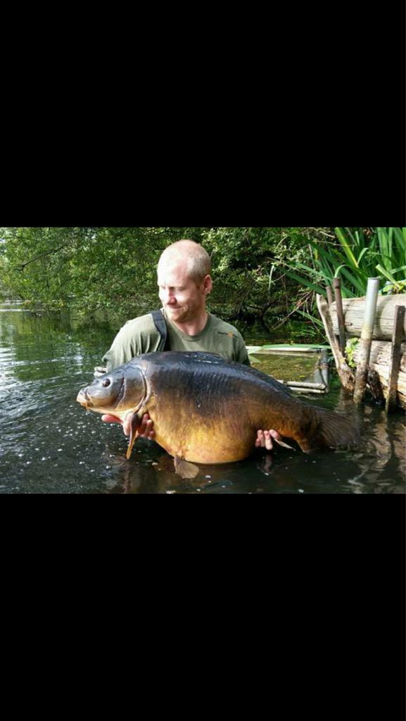 SolarCarp's tweet photo. And some more......... http://t.co/E0XEsh7A5S