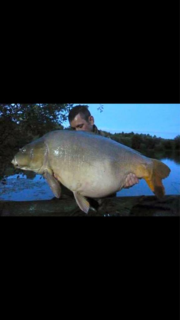 SolarCarp's tweet photo. And some more......... http://t.co/E0XEsh7A5S