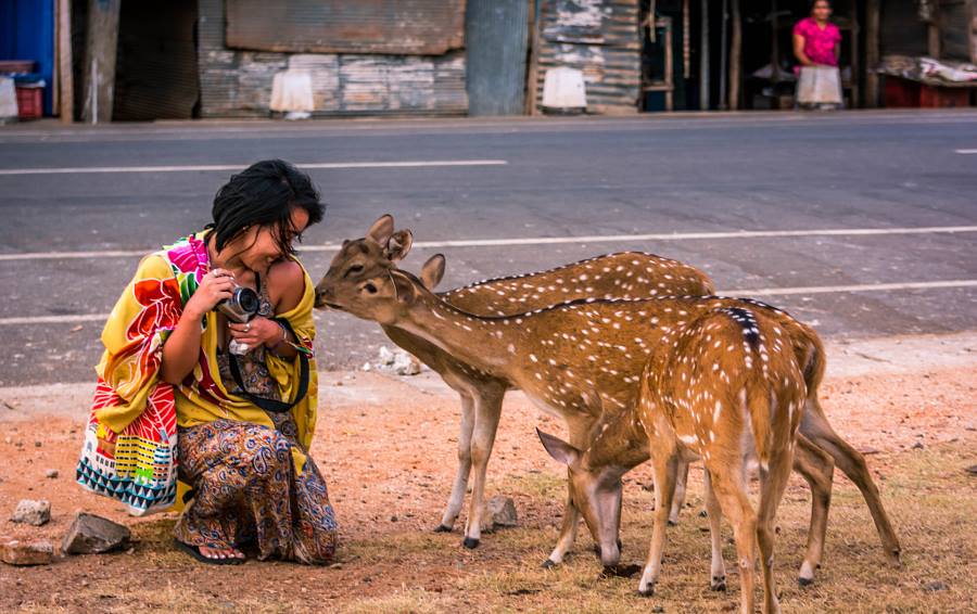 sylviahchannel's tweet photo. A Beautiful Moment in #SriLanka by Kannappan Sivakumar: https://t.co/UVoOPr9PPg. Love the colours &amp; smiles! #travel http://t.co/G7o8nRQOs9
