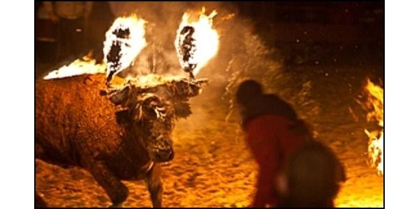 _AnimalAdvocate's tweet photo. #Animals live in perpetual hell-on-earth cos of what humans do
Proof: #Spanish "#FireFiesta' 
Be ashamed #spain. http://t.co/QNvsE175Nl