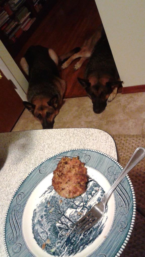 MrJayPopp's tweet photo. The Goon Squad's silent guilt-begging game is strong http://t.co/n8MSXdMbsT