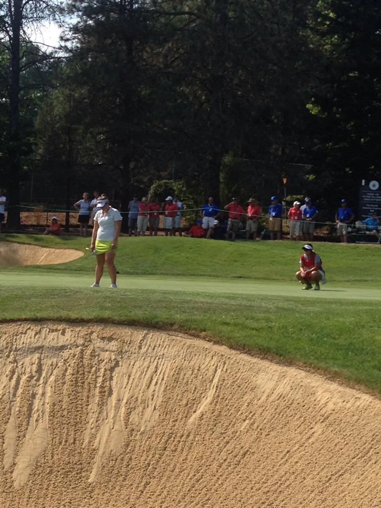 raphaela dyer tweet media