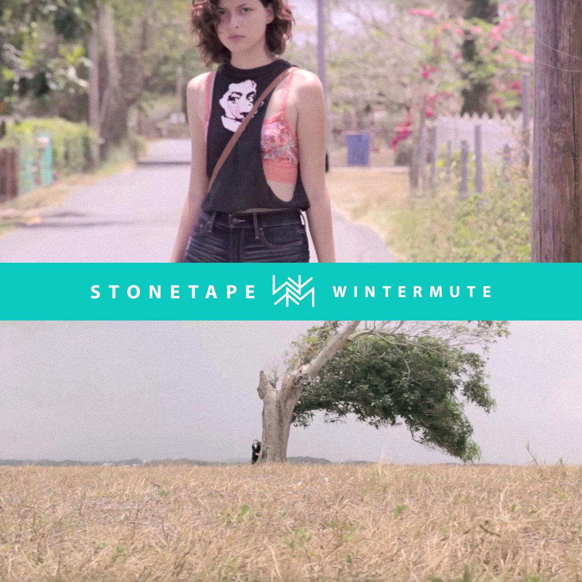 StoneTape's tweet photo. Primer tweet. Primer video. Hola. Aquí está "Wintermute":
http://t.co/vakg9FkMdQ http://t.co/9NXdnYujLw