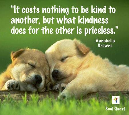VHaasbroek's tweet photo. @Binbags4africa @Minx707 @uknico2010 @idrivemini @Kalyptian6261 @WordArtz @KalahariDrey : #Followbestfriends http://t.co/bU6Qni7ZVa