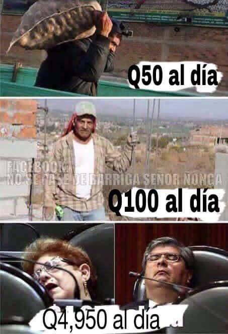 Gt_Cientificos's tweet photo. Si no hacemos nada el 6 de septiembre vuelven a quedar estos!!! DESPIERTA!! #ParoNacionalGT http://t.co/JTvn94plpo