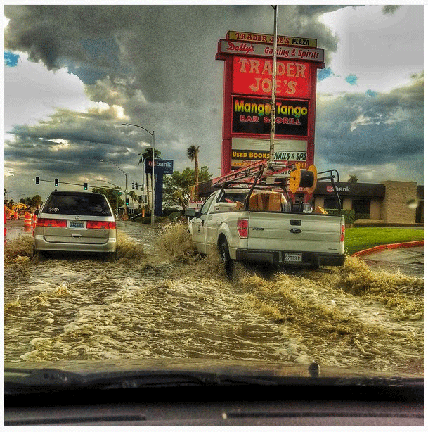 View image on Twitter View image on Twitter