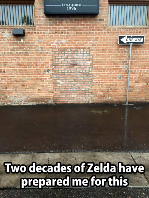 NES_Dudes's tweet photo. Two decades of Zelda have prepared us for this moment... http://t.co/eMHir0GuNQ