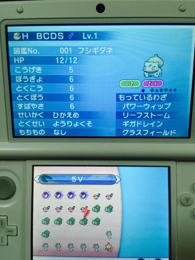 おーじゅ Twitterissa ポケモンxy Oras フシギダネ厳選 夢特性 葉緑素 控え目a抜け5v リーフストーム ギガドレイン遺伝完成 両刀用にやんちゃとうっかり屋とむじゃきも作らなきゃ O Http T Co Bqpb9f4d3l