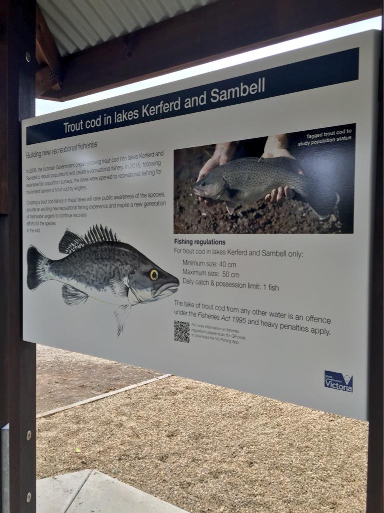 Beechworth - Ned Kelly Trout Cod country. #target1million #springst <a href="/DanielAndrewsMP/">Dan Andrews</a> <a href="/VR_Fish/">VRFish</a> @DavidKramer3AW