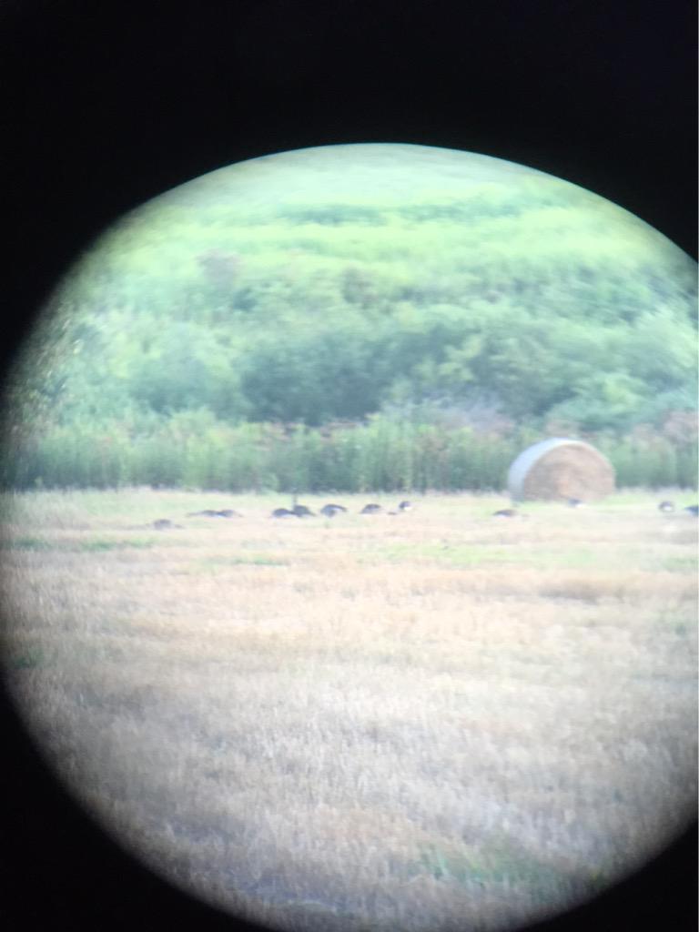 FinalFlight_NY's tweet photo. Putting in the preseason leg work makes all the difference #huntharder @BeavrCreekCalls http://t.co/sZ2CbZ34sl