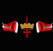 MilitaryBoxing's tweet image. Club logo