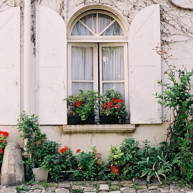VanessaJackman's tweet photo. Love a cheery geranium on a pretty window sill....plus they are pretty hard to kill (speak… http://t.co/bh385vUzGN http://t.co/MW6sw2BdPM