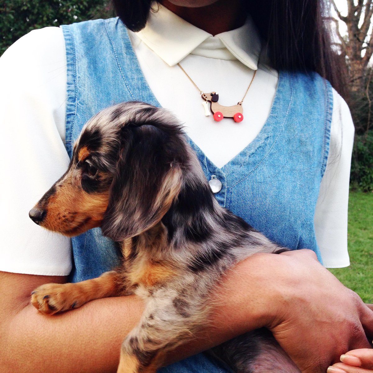 tattydevine's tweet photo. Our Dog on Wheels Necklace will be your new best friend. Woof! | http://t.co/MYEESO5ap1 http://t.co/y8SA9pvG7R