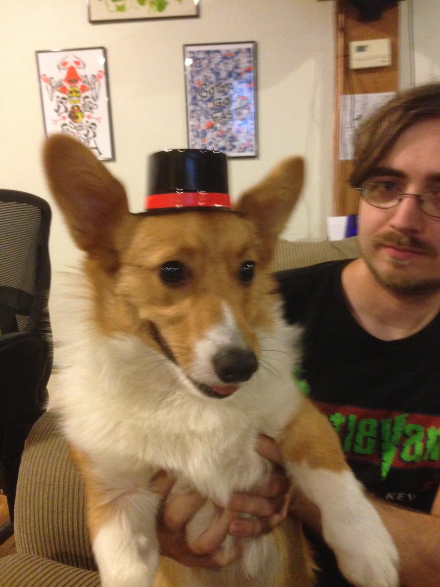 HatsProductions's tweet image. Best dog in the world, Watson, turned two today!