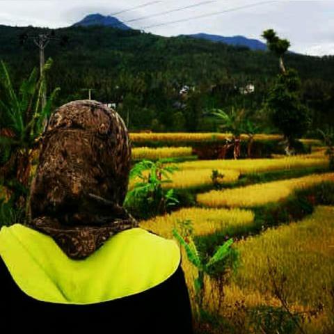MAlderra's tweet photo. #ExploreIndonesia http://t.co/B6B94wopoA