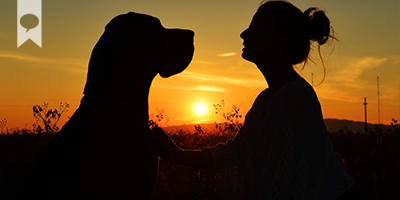 A perfect end to the week. #sunsets #pets