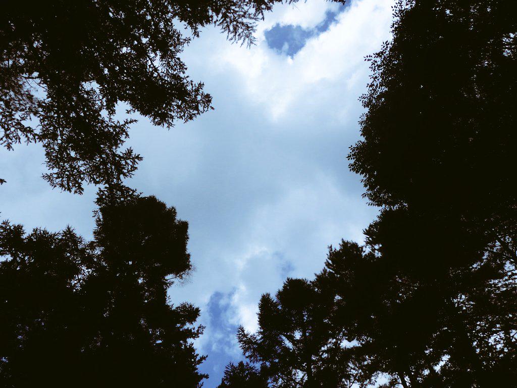 robot_0127's tweet photo. Camp🙋💞

in Yamanasi💫💫 http://t.co/HQmGkkLK4A
