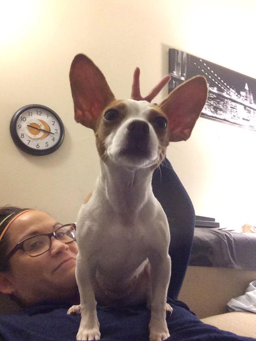 This is really All I could do all day! Love my Lola-Bird and snap pics or photo bomb hers ;) http://t<a href="/tag/cherrypimps"class="tags"><span>#cherrypimps</span></a><a href="/tag/wildoncam"class="tags"><span>#wildoncam</span></a>