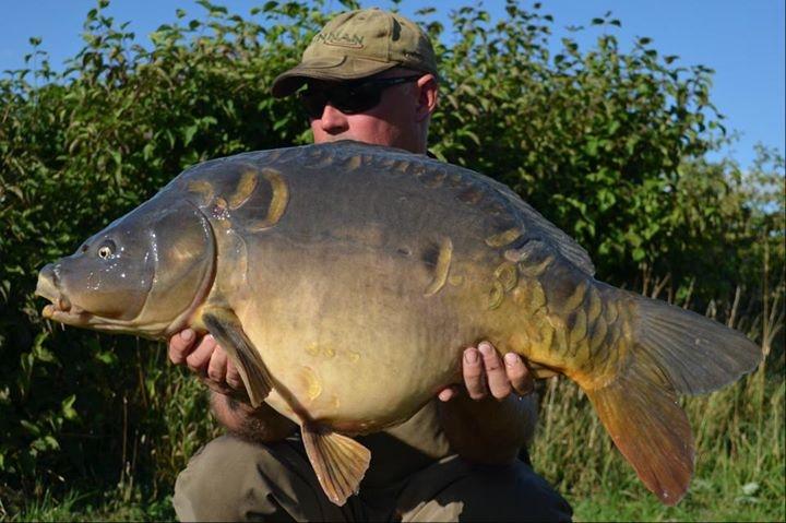Coconut munching 26lb mirror