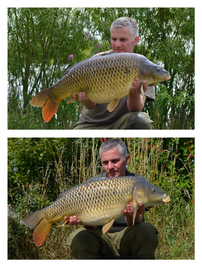 specimen carp baits (@specimencarp) on Twitter photo 