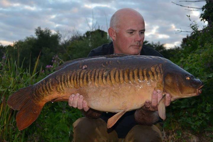 specimen carp baits tweet media