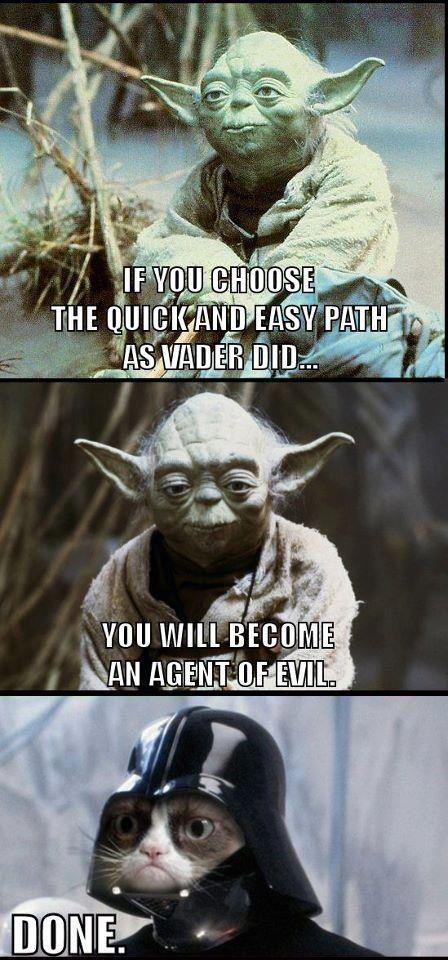 Yoda tweet media