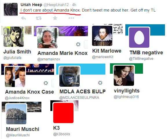 Soletrader4u's tweet photo. #amandaknox Apparently this is an 'uncaring' supporter. #whatadufus These from 52 accts they follow!! #LOL http://t.co/y7VImmIik9
