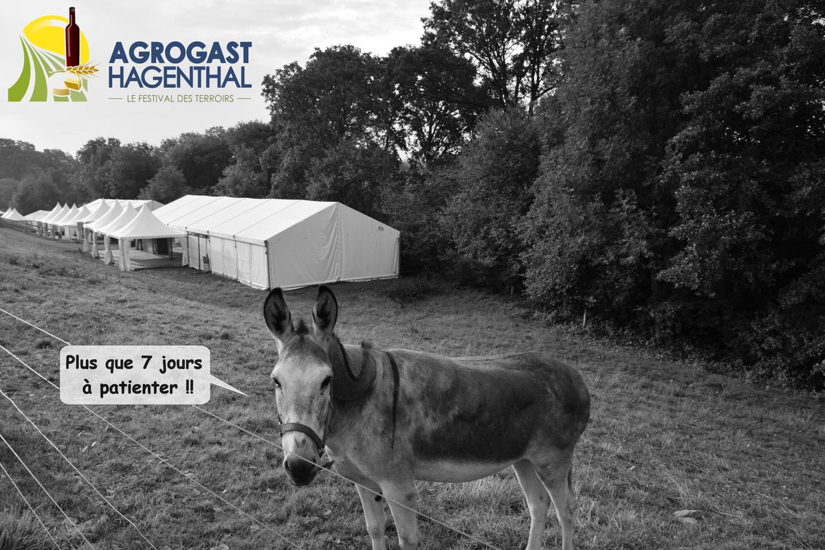 Agrogast tweet media