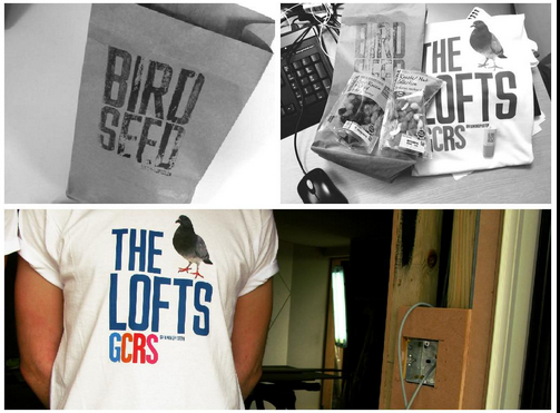 Fuming Pigeon tweet media