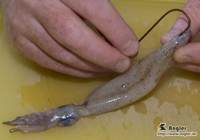 solotcom's tweet image. How to Make a Huss Squid Bait. For more details, please visit Angler official website: angler.im/news/4iLpnQ7mN…