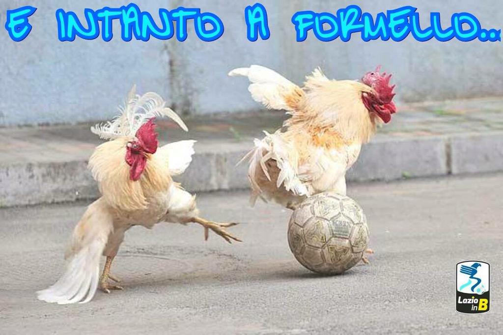 paolonegrogo's tweet image. Quelli che hanno portato l'ova a Roma