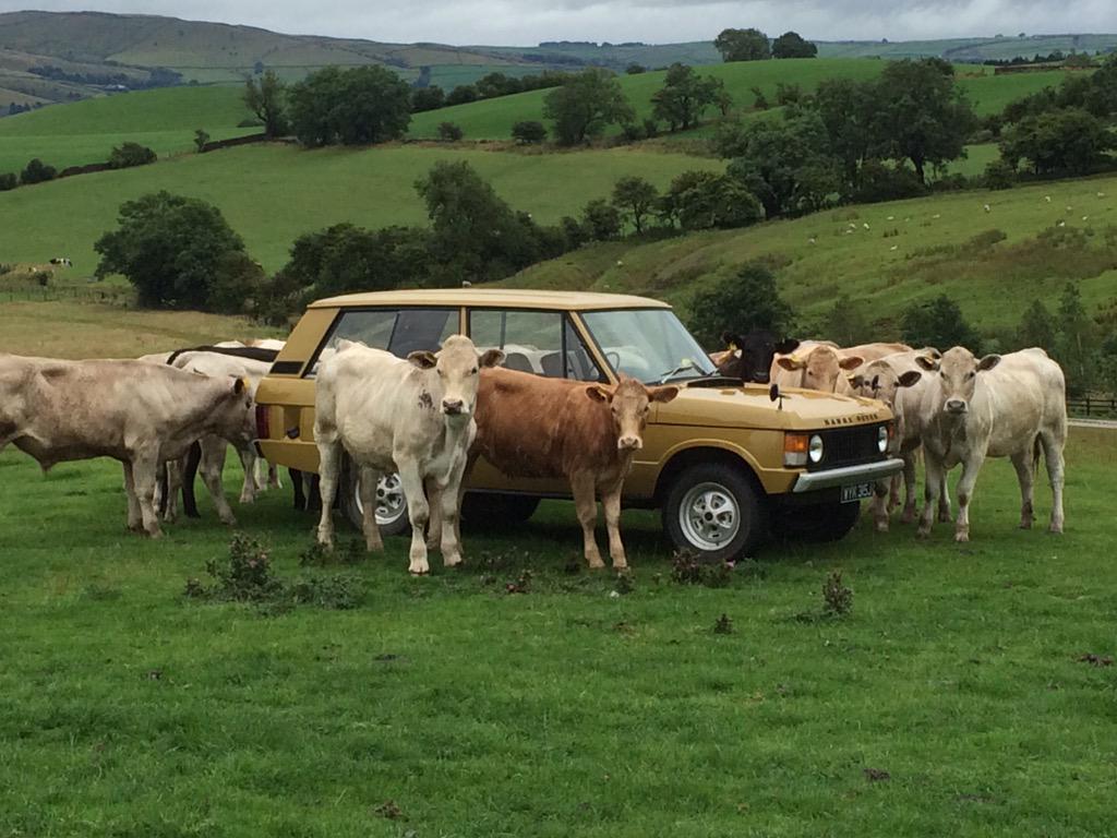 Series 1 Range Rover. #CarSpotting #CotP