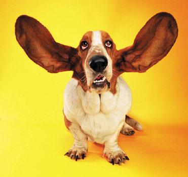 PCIWebinars's tweet photo. Actively Listening in a Loud, Distracting World: Explore tools for effective communication http://t.co/cCr1cE4cPN http://t.co/1BIIARhzTg