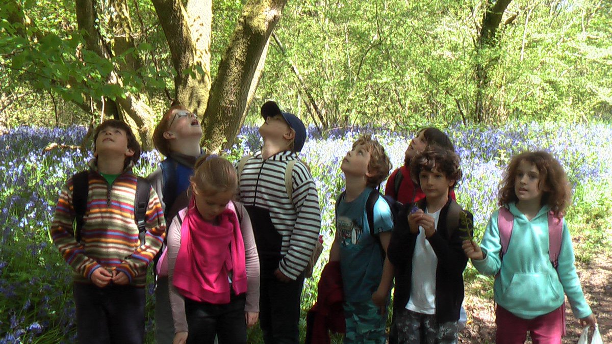 ITF_Worldwide's tweet image. Outdoor play key to cognitive development. Linking global learning, outdoor education &amp;amp; trees bit.ly/1JgAgc8