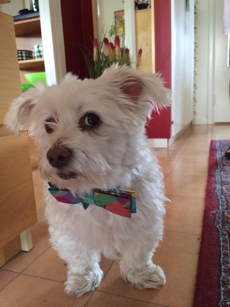 picsofsweden's tweet image. Dress up, it's Friday!